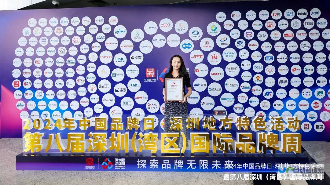 深圳领先品牌网站建设公司，助力您的品牌在线崛起